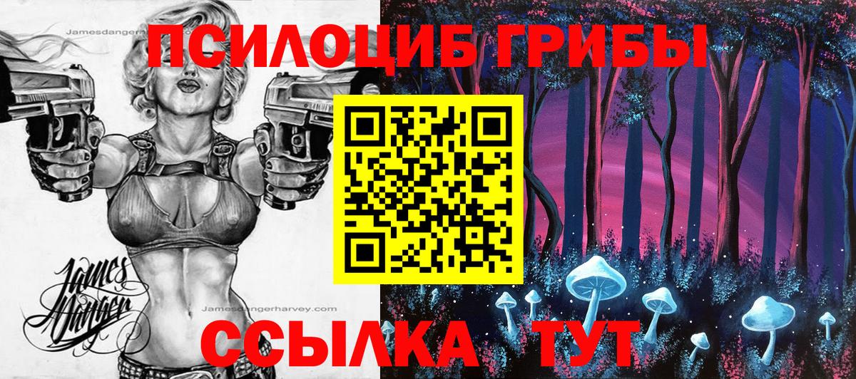 Псилоцибиновые грибы Cubensis  Вход с VPN  купить   Карачаевск 